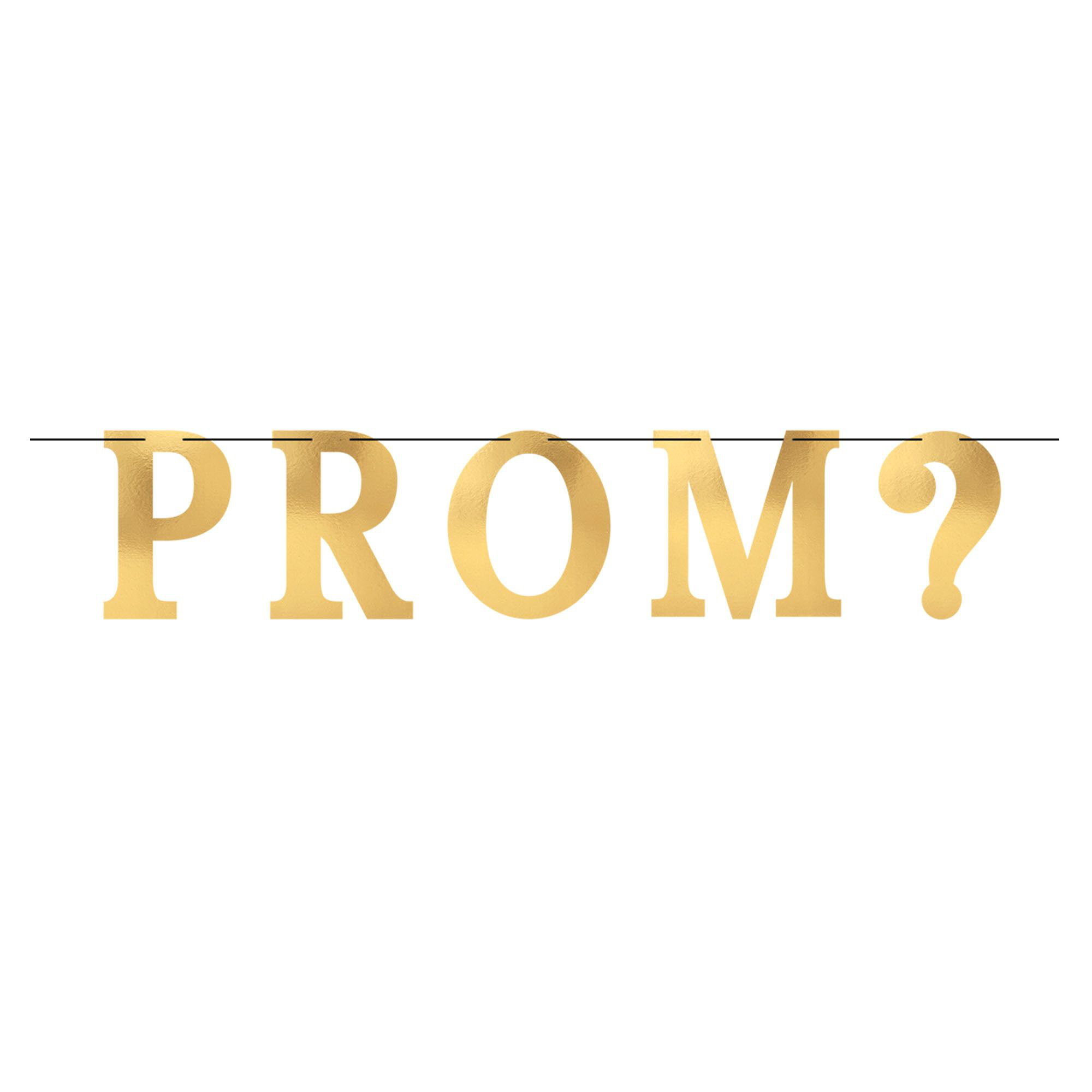 Amscan Glittering Prom Phrases Banner Wayfair