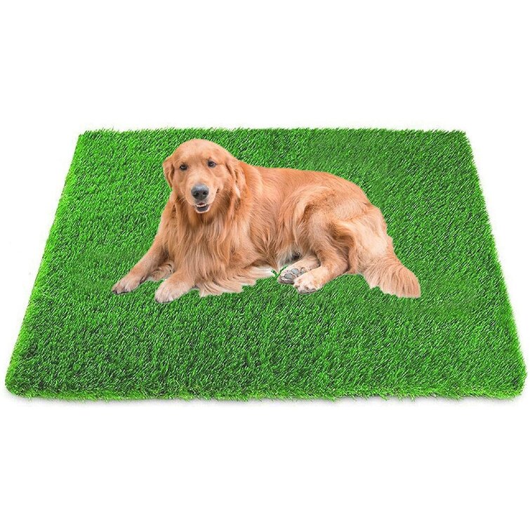Plastic Artificial Balcony School Green Lawn Fullnoon Artificial Grass Mat Carpet Outdoor Fake Grass Lawn of Green High Density Natural Realistic Looking Garden Turf for Dogs Pets