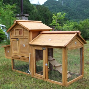 Animal Hutch Cage