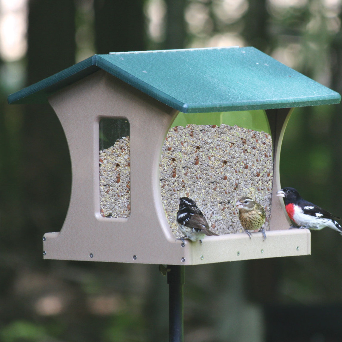 Birds Choice 4 Gallon Recycled Hopper Bird Feeder Reviews Wayfair