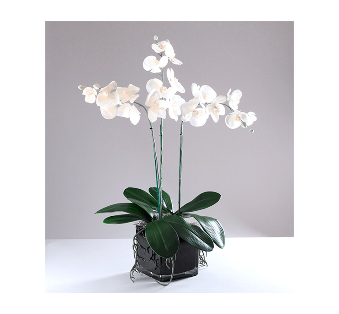 Die Saisontruhe Kunstpflanze Phalaenopsis Orchidee im Topf