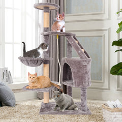 teepee cat tree wayfair