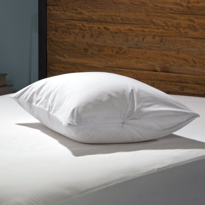 Stain Protection Zippered Pillow Encasement (Set of 2) by Sealy