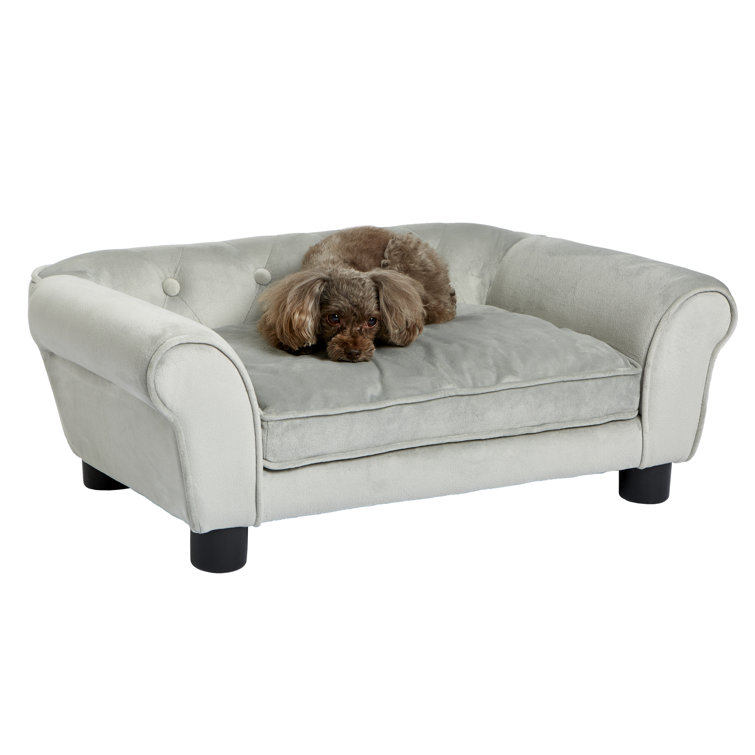wayfair jackson dog sofa
