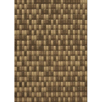 Bokara Rug Co Inc Safari Animal Print Hand Knotted Gold Beige Area Rug Wayfair