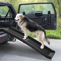 compact dog ramp