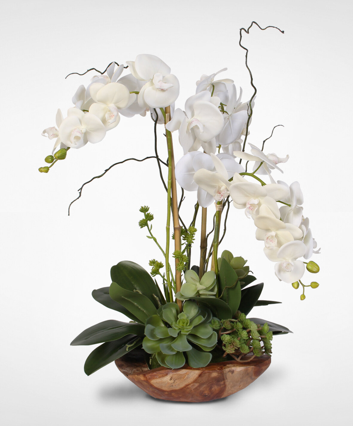 Flower Arrangement Using Orchids 2752