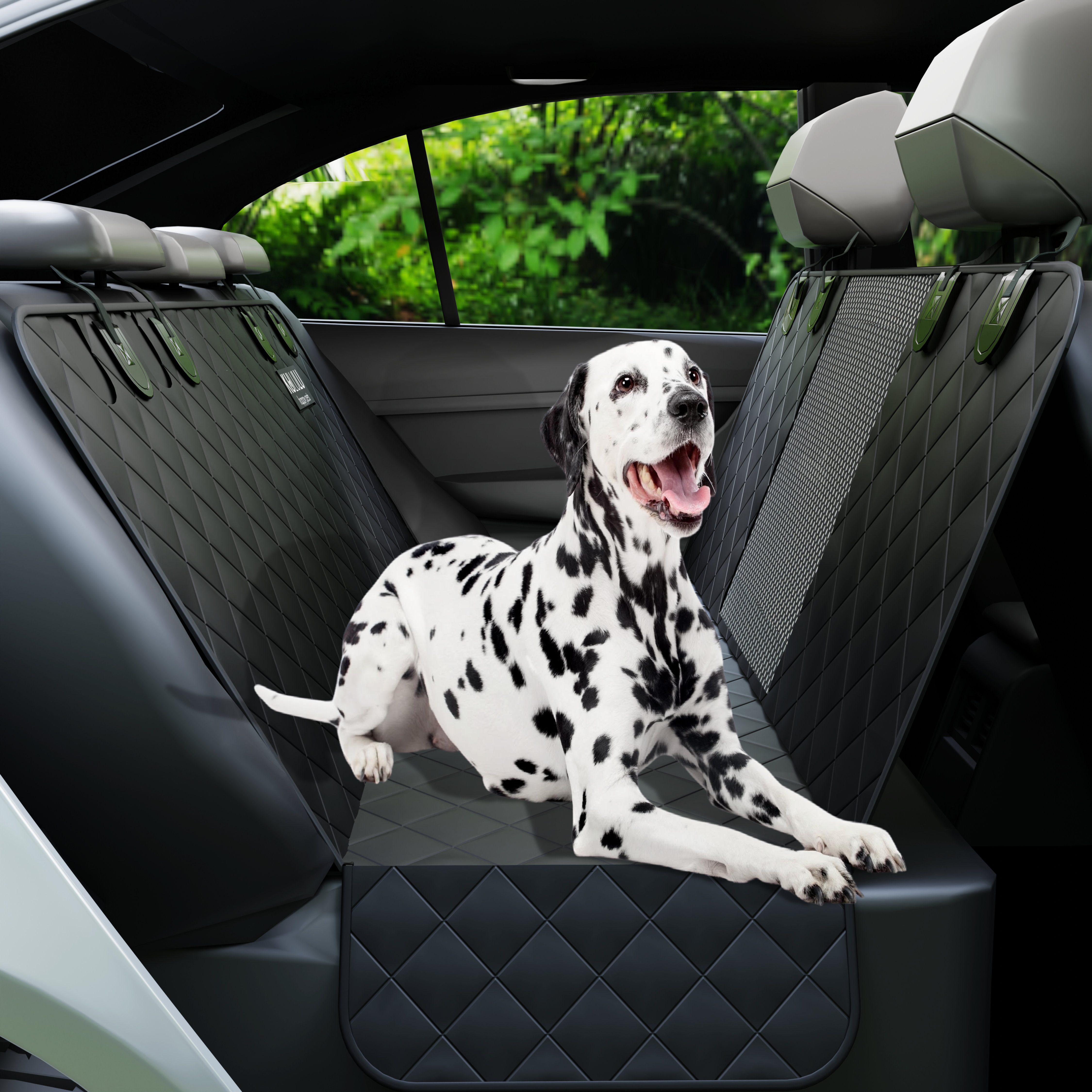 Why Do Dogs Love To Ride In Cars