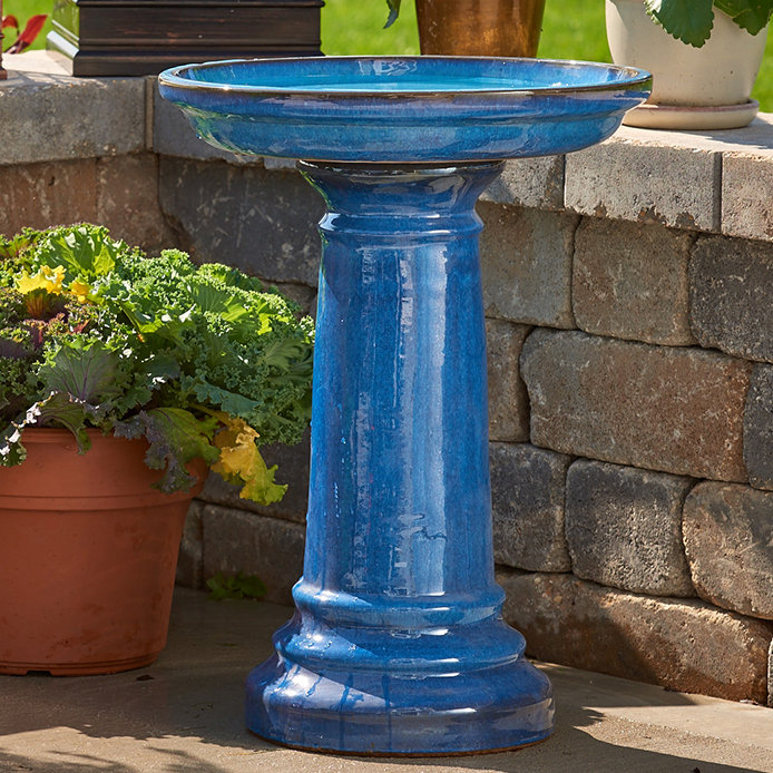 Smart Living Aviatra Birdbath Reviews Wayfair Smart Living Aviatra Birdbath Reviews