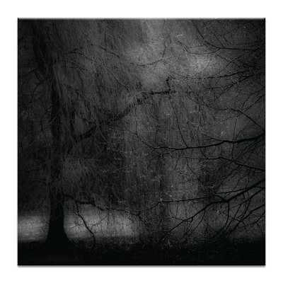 After The Rain Photographic Print on Wrapped Canvas Latitude Run Size 24 H x 24 W x 15 D