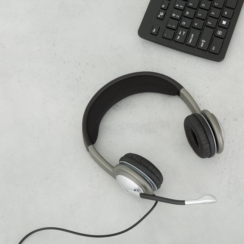 egghead headphones with mic