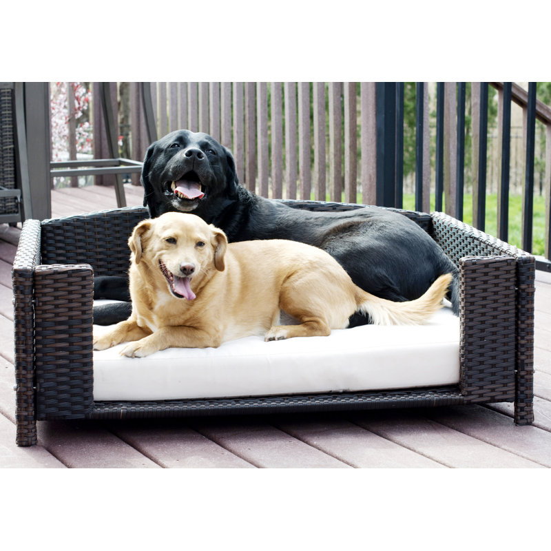 rattan dog sofa