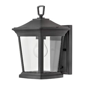 Christien 1-Light Outdoor Wall Lantern