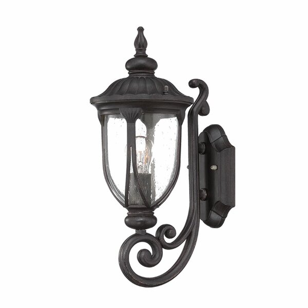 Fleur De Lis Living Angie Seeded Glass Outdoor Wall Lantern & Reviews 