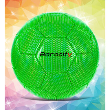 Size 4 GoSports Premier Soccer Ball with Premium Pump 