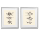 2 Piece Fish Framed Art You Ll Love In 2021 Wayfair