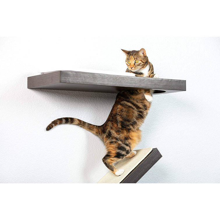 self cat scratcher