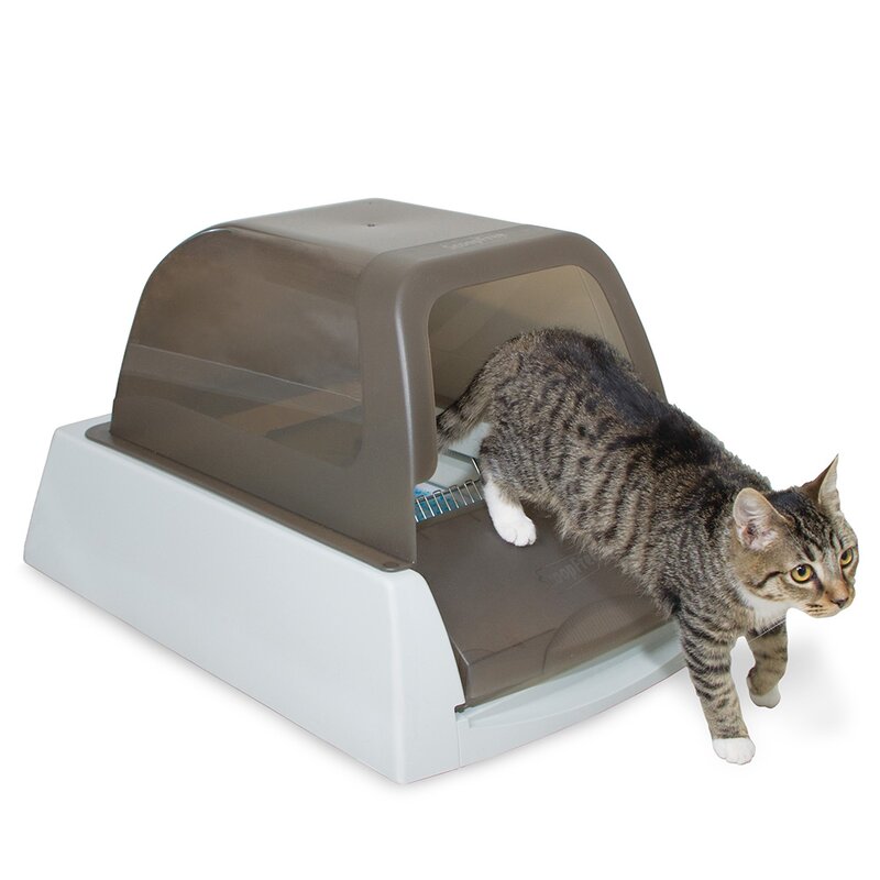 closed cat litter box