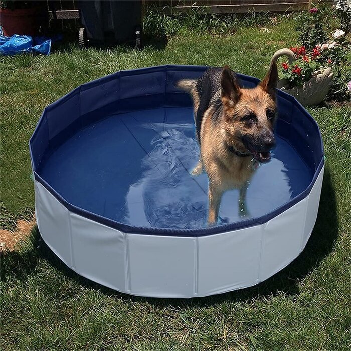TianRan Foldable Hard Plastic Extra Large Dog Pet Bath Swimming Pool ...
