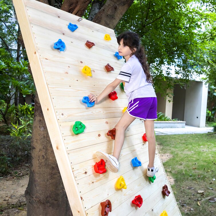 Dilwe Rock Climbing Holds 10 Pcs Safety Comfortable Climbing Stones Kit with Hardware Fittings for Children Playground