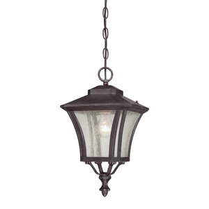 Tuscan 1-Light Outdoor Hanging Lantern