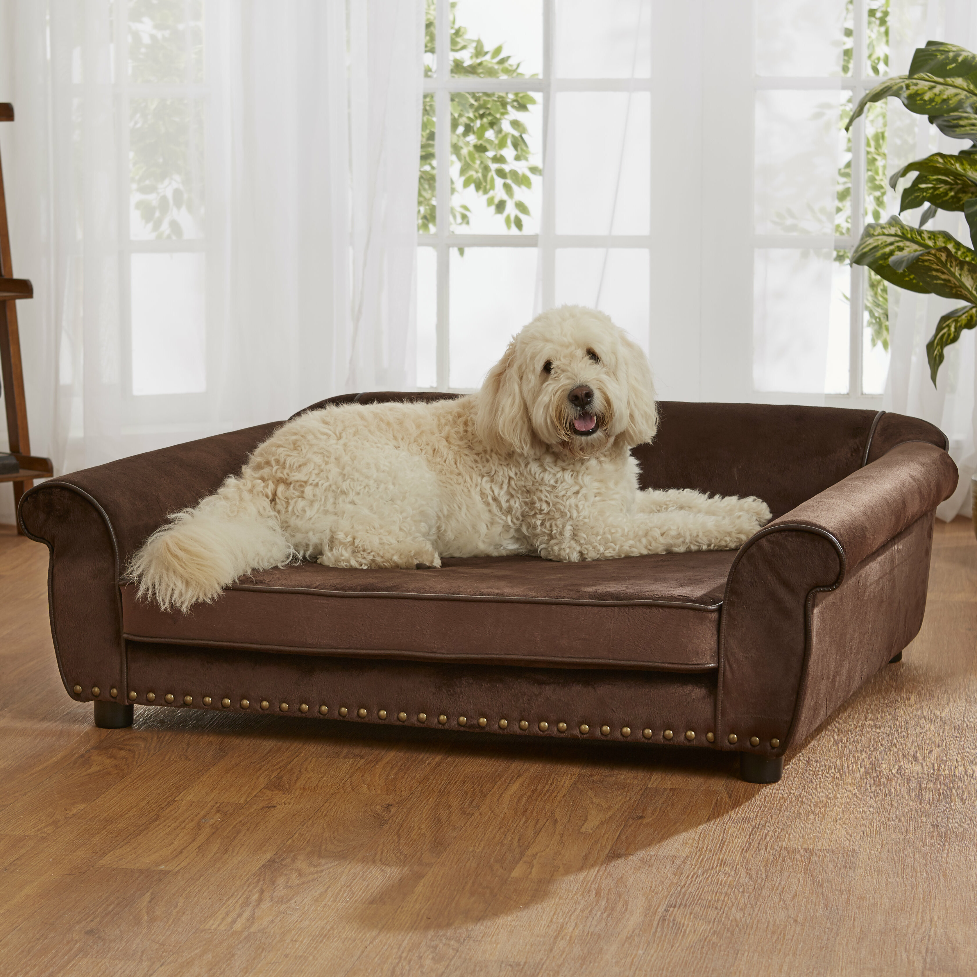 constantine dog sofa