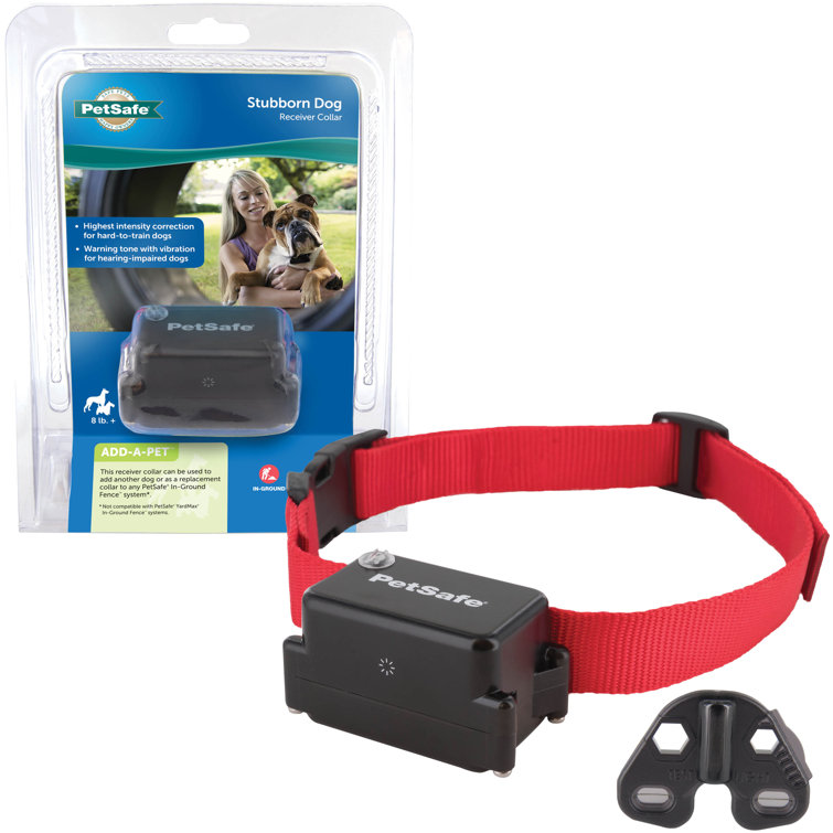 petsafe collar solid red light