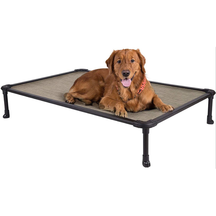 chew proof pet bed