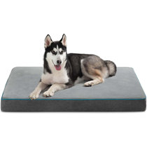dog memory foam pad