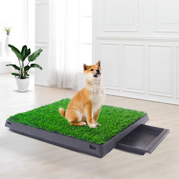 grass pad for cats