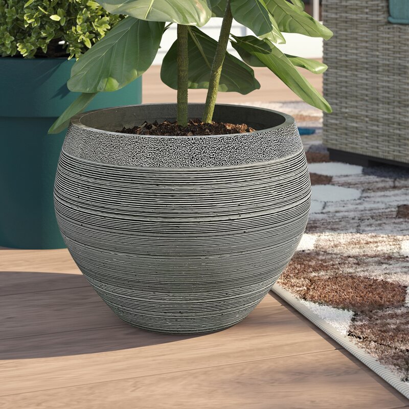 Sol 72 Outdoor Addison Fiberclay Pot Planter Reviews Wayfair