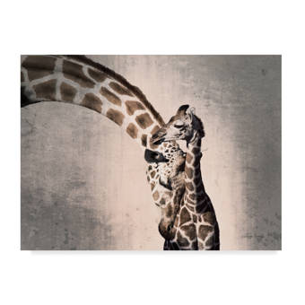 Designart Altiplano Near Uyuni Panorama 5 Piece Wall Art On Wrapped Canvas Set Wayfair