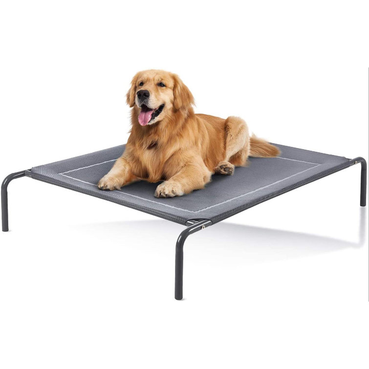 folding dog cot