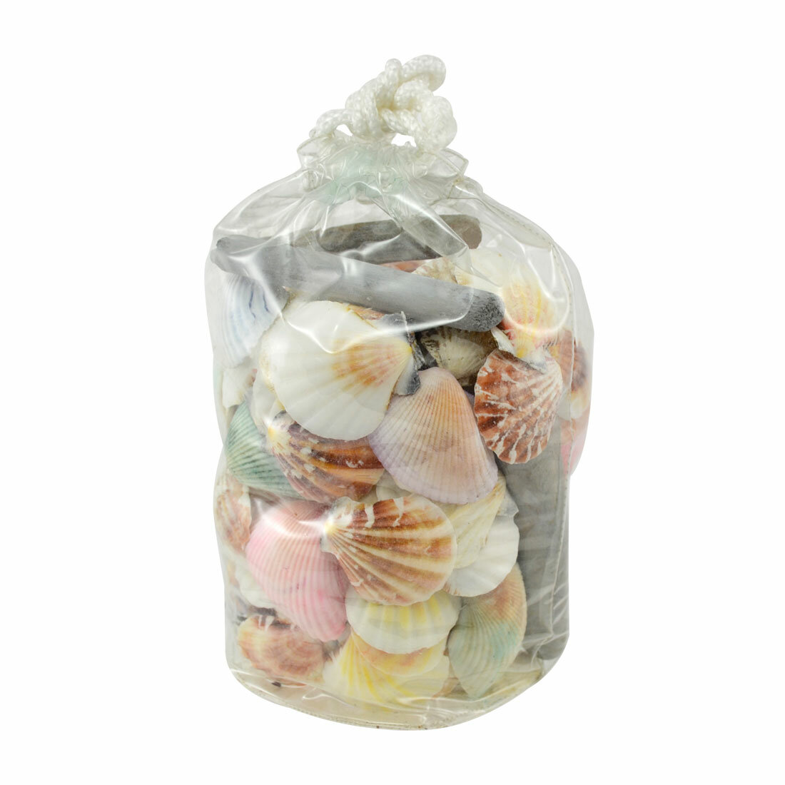 Highland Dunes Durrett Seashells And Driftwood Vase Filler