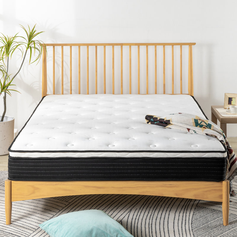 Wayfair Sleep 8" Medium Euro Top Innerspring Mattress Mattress Size: Queen