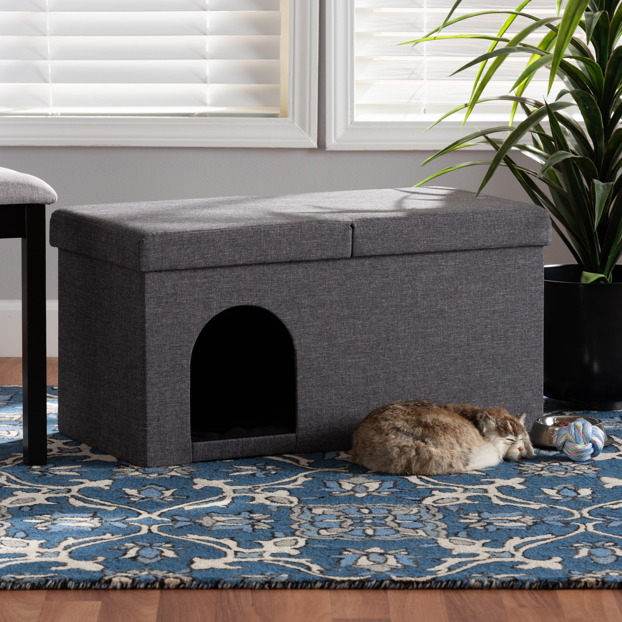 Tucker Murphy Pet™ Frankenmuth Modern And Contemporary Dark Grey Fabric Upholstered And Wood Cat