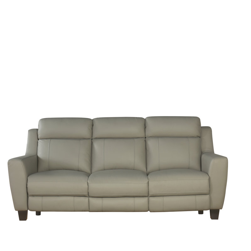 Laude Run Florham Top Grain Leather Reclining Sofa Wayfair Florham Top Grain Leather Reclining Sofa