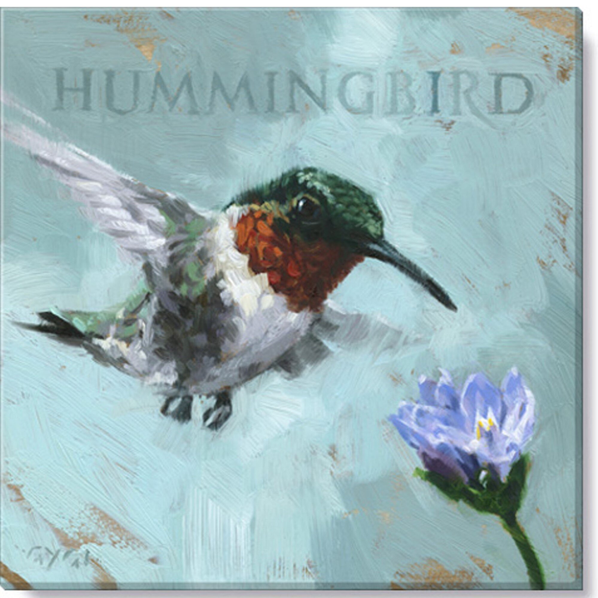 Darren Gygi Home Collection Hummingbird Giclee Wall Art by Darren Gygi ...