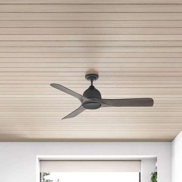Modern Contemporary Outdoor Wet Rated Ceiling Fan Allmodern,Inspiration Interior Design Inspiration Living Room Ideas