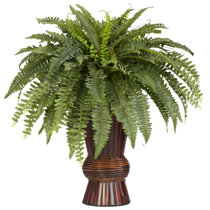 Artificial Boston Fern Wayfair Artificial Boston Fern Wayfair