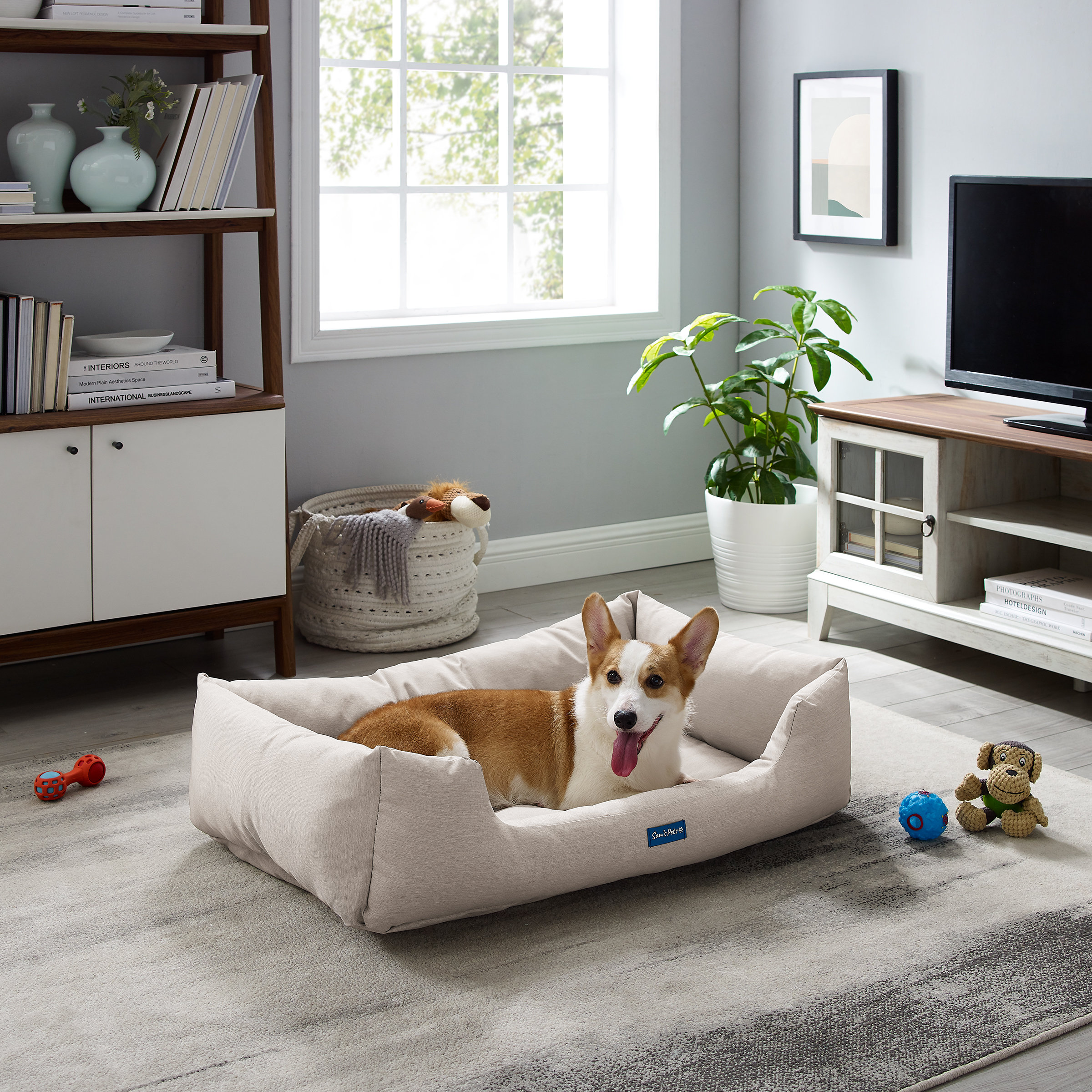 dog beds sams