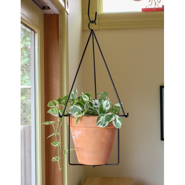 ACHLA Wrought Iron Hanging Planter | Wayfair