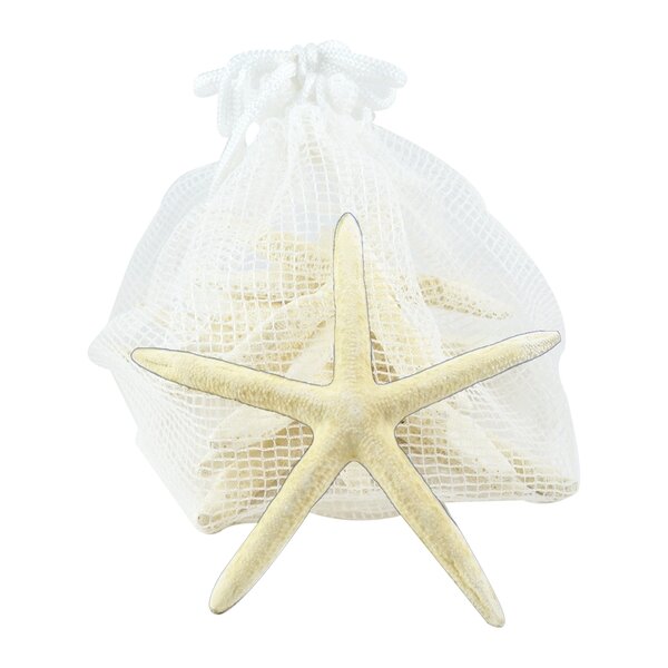 Star Fish Fishing Boat Beach Sea Large Starfish Figurine White Resin /Bathroom 