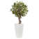 Faux Olive Trees In Pots