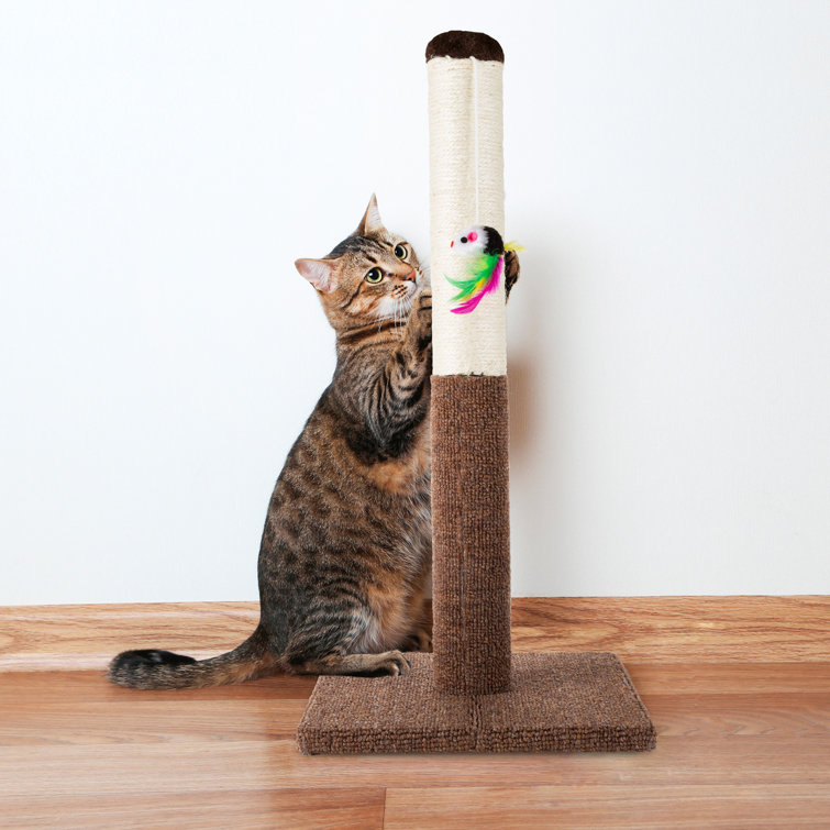 wayfair scratching post