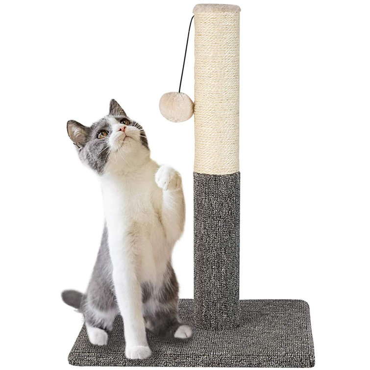 sturdy scratching post