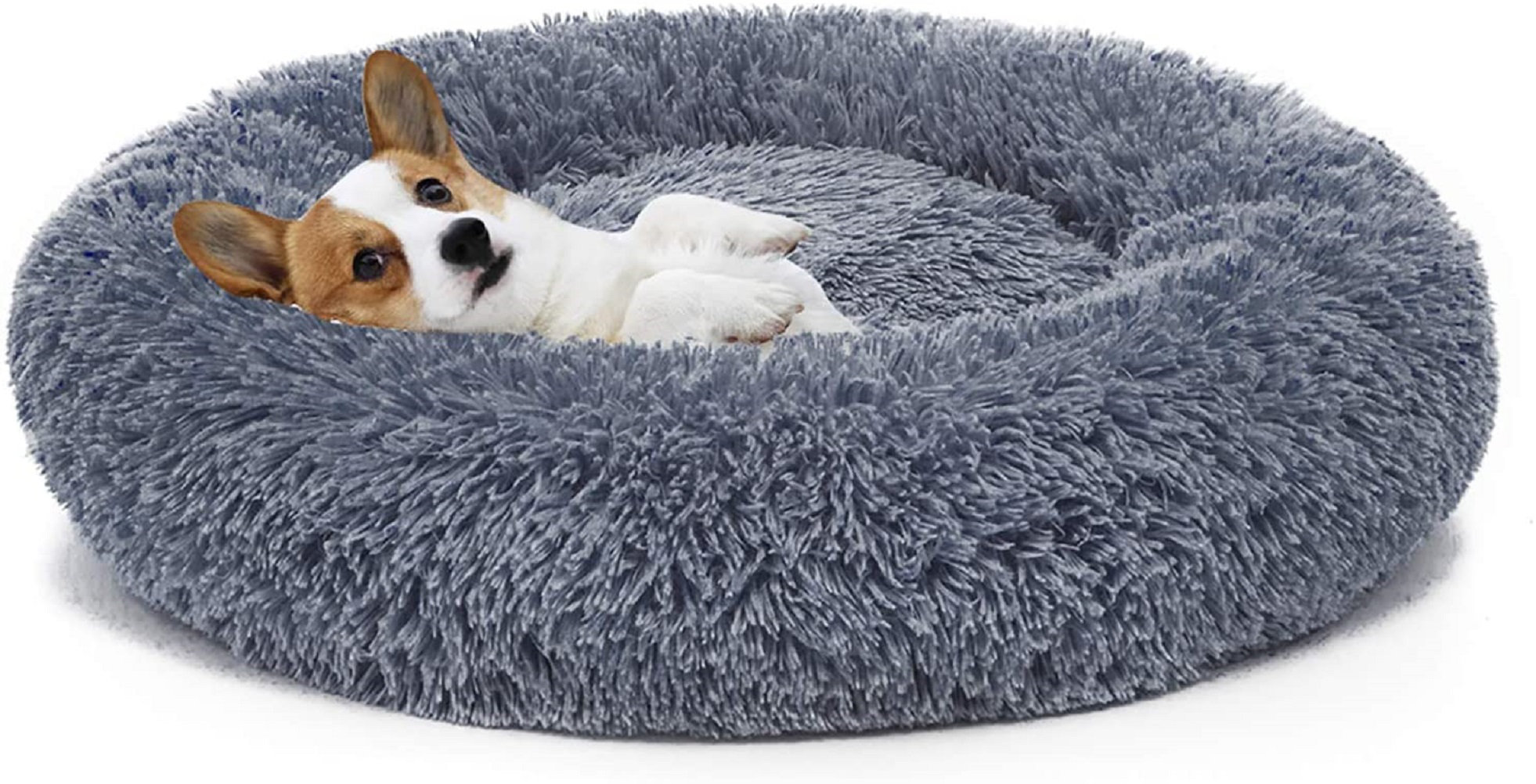large hard dog bed