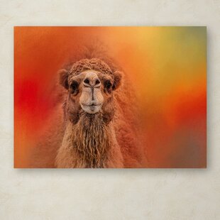 Camel In Egypt Art Print / Canvas Print Wall Art Home Decor Poster D