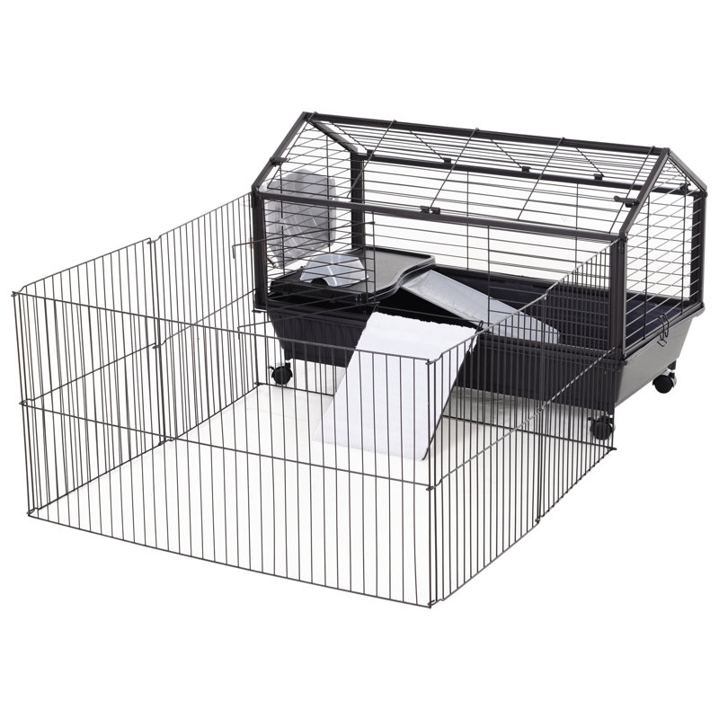 Wayfair guinea pig cages clearance