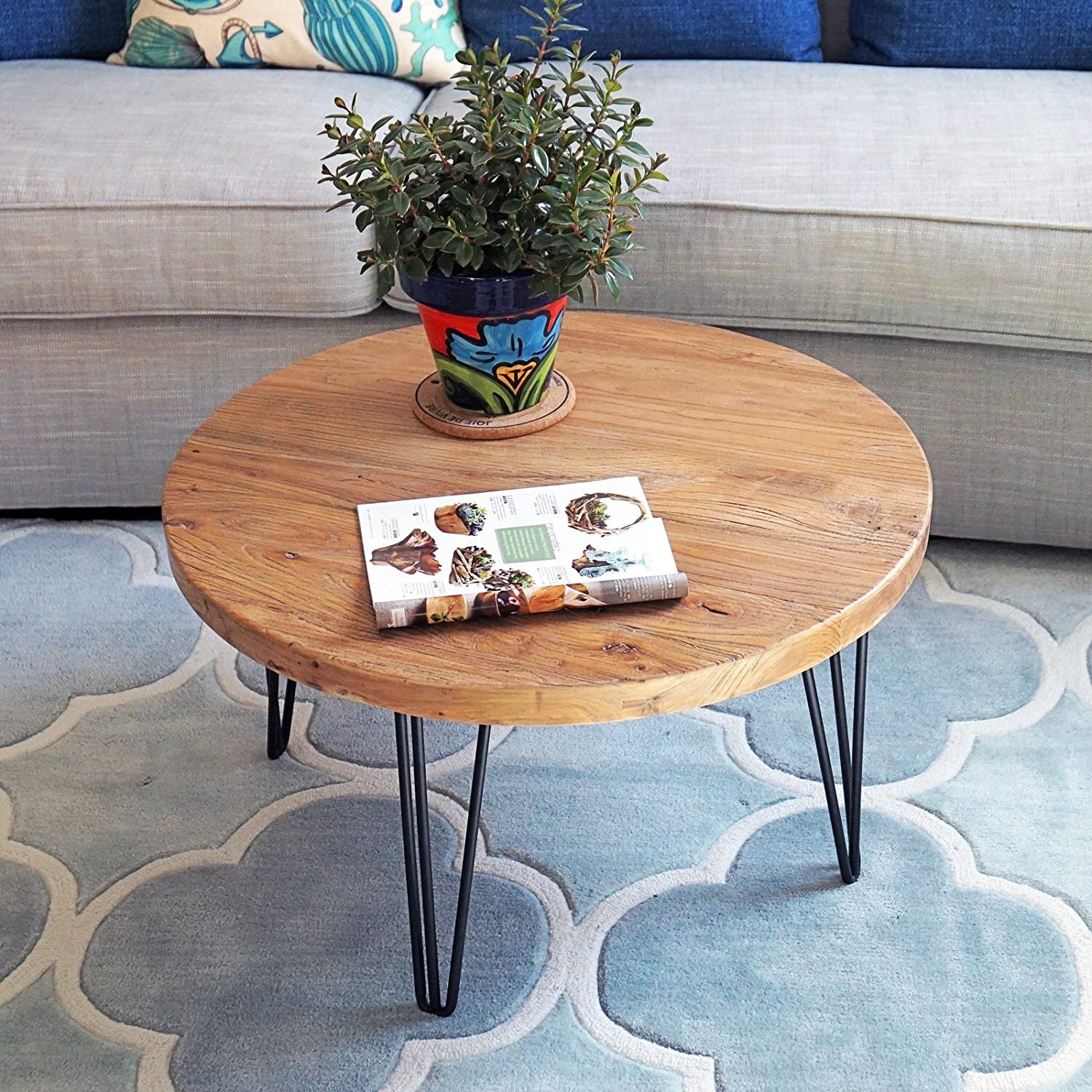 wayfair collector coffee table